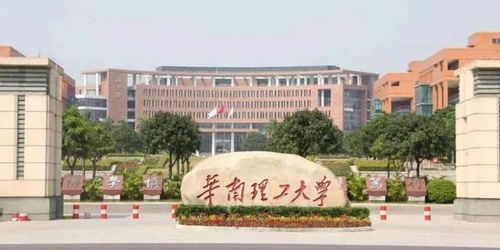 广东校友会排名发布,中山大学独居榜首,华南理工大学位列第二