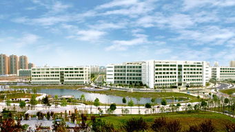 2022年武汉理工大学材料科学与工程专业考研必看成功上岸前辈复习经验分享